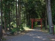 Yanwenli̋ʑא_Ђ̓eʐ^1