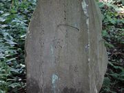 Yanwenli̋ʑא_Ђ̓eʐ^4