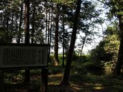 Yanwenli̋ʑא_Ђ̓eʐ^5