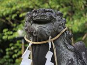 Yanwenli̐˔{̓eʐ^4