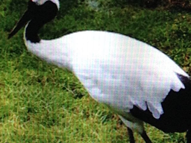 �O����_�O���ߎ��R����