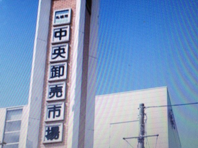 �s��_���������s���O�s��