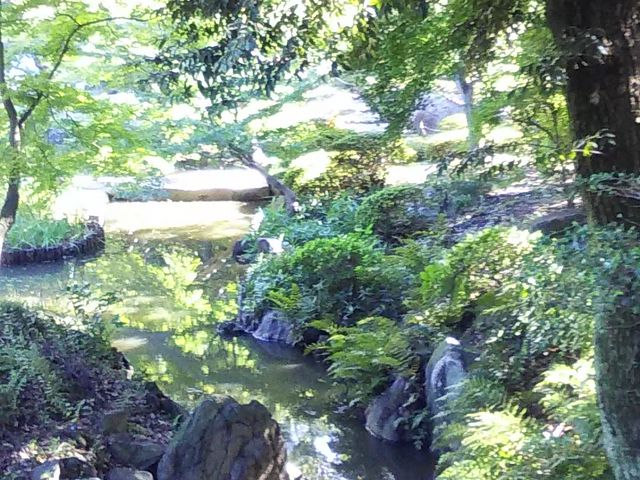 �a_���É͒뉀