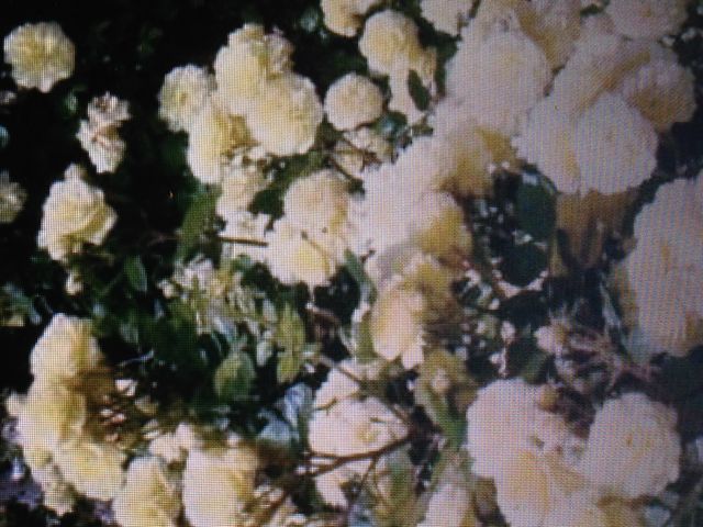 �o����_�����o����