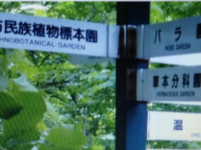 �A����_�k�C����w�A����