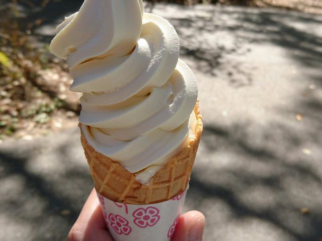 񂲃\tgN[_JtFeAEgATN