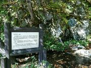 䂤̃EFXgi쌧{sj̓eʐ^1