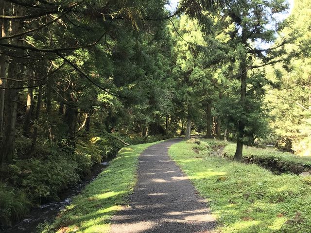 ����܂ł̓���_���ꕚ����