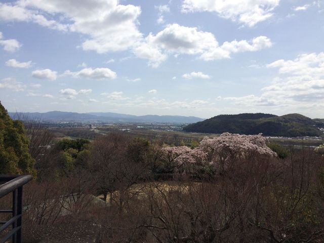 �e���X�Ȃ��璭�߂�뉀_�A�T�q�r�[����R��R�����p��