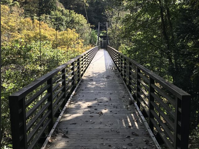 ӂ̎U􃋁[gr݂̒苴i]߂j_CR&ޑ]̔