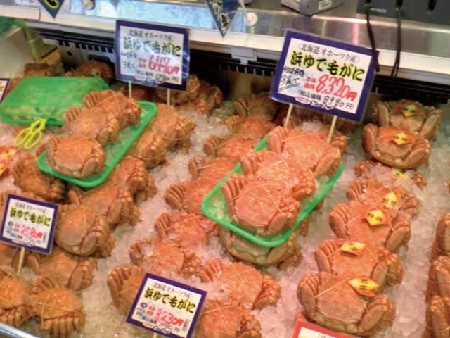 ���ɂ��񂪑�R��_���������s���O�s��