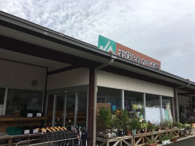 写真B_天草とれたて市場