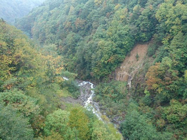 ��i���ȁI�I_�k�A���v�X�勴