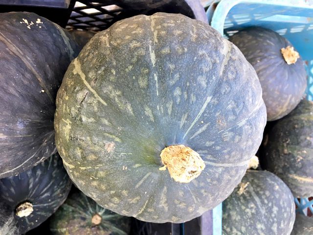 J{`@ij500~_G؂̑@CtFA