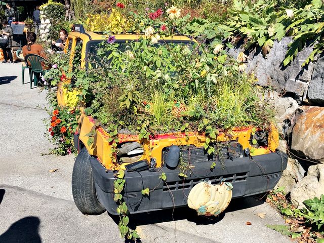 ԂŖߐsꂽgN^[H_G؂̑@CtFA