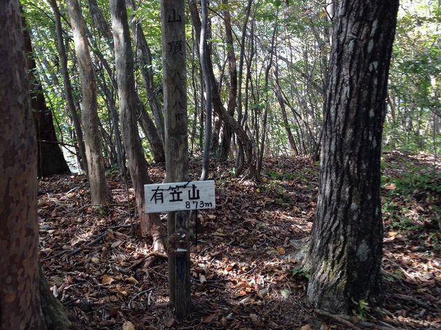 hijikigoke̗L}R̓eʐ^3