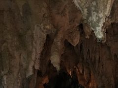 kenkeñKK[̒Jւ̓eʐ^1