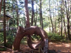 ɂ񂳂̑PܘY̑ւ̓eʐ^1