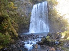 ɂ񂳂̑PܘY̑ւ̓eʐ^2