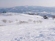 hirarĩjZRHANAZONO][g̓eʐ^1