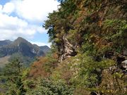 hijikigoke̗L}R̓eʐ^1