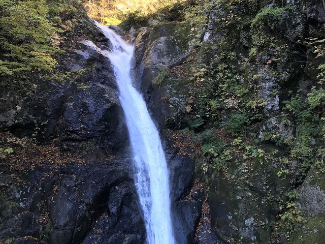 �Â��Ɍ�����_�吣�̑�