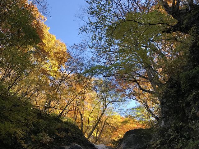 �g�t�������������o_�吣�̑�