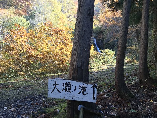 �y�������̓_���z���ԏ����̈ē��B���̖��ʂ�ɐi�ނƂ��炢�ڂɑ���_�吣�̑�