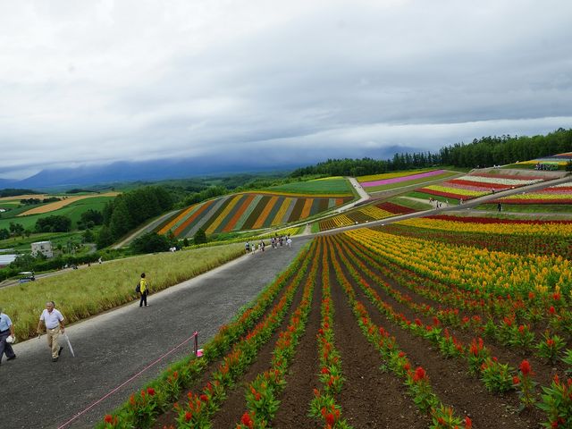 �l�G�ʂ̋u4_�l�G�ʂ̋u