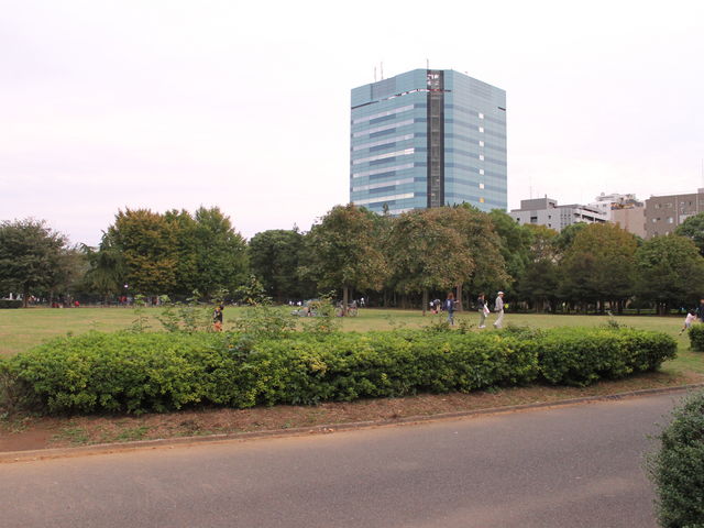 �P����邾���ł������ւ�Ȍ����ł�_�؏����