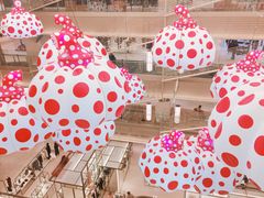 �͂邳���GINZA SIX�ւ̓��e�ʐ^1