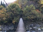 C_C̒ÐkJi쌧hj̓eʐ^1