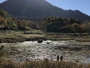 �C���_�C����̓V�r�̓��e�ʐ^5