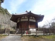 �L������̞ĎR�����p�~���̓��e�ʐ^2