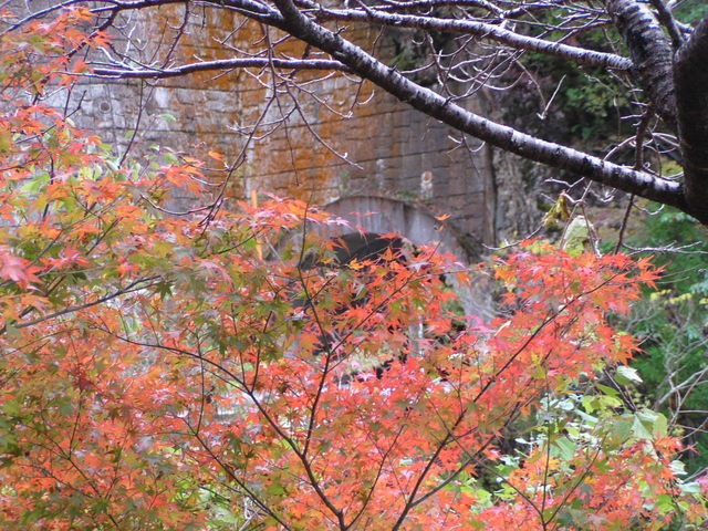 �������Ƀg���l�����E�E�E�B_�݂��炢�k�J�̍g�t