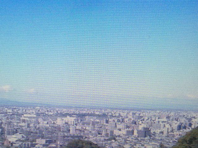 �W�]�䂩��_��q�R�W�����v���Z��