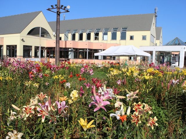 ���b�W�O_�X�m�[�N���[�Y�I�[���Y