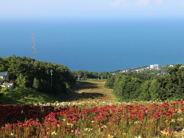 �C�ƃ����̃R���{_�X�m�[�N���[�Y�I�[���Y