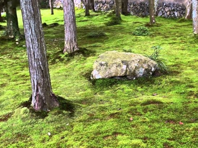 �ʖ��ێ�_���F��