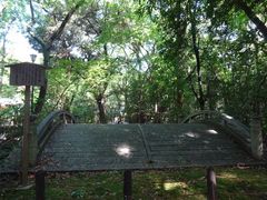 pon񂳂̓\ܒւ̓eʐ^1