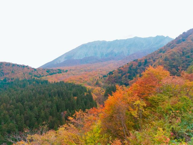 ���|�������猩��g�t_��R