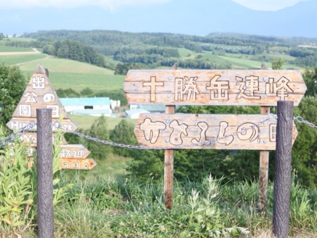 ��i_���̏o����