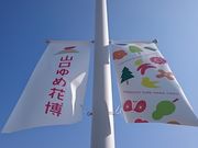 񂿂񂳂̐VRwόē̓eʐ^1