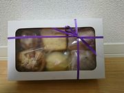 moomî̃XgA[̓eʐ^1