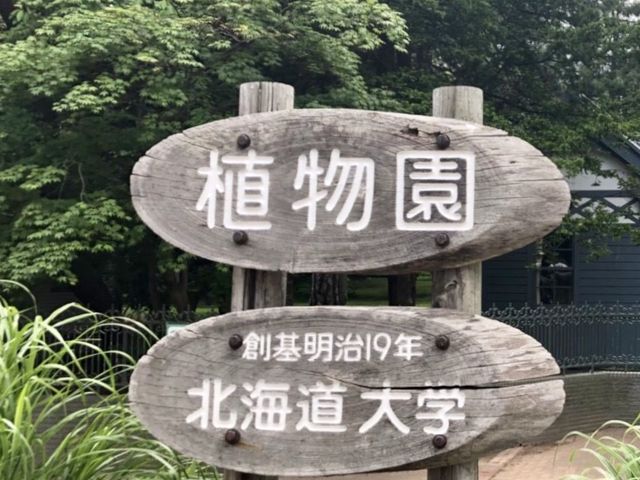 �A����_�k�C����w�A����