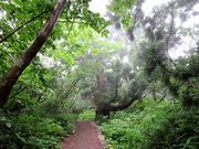 񂳂̑卲nΖVR̓eʐ^8