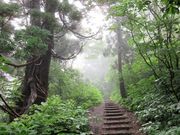 񂳂̑卲nΖVR̓eʐ^9