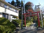 �C�I������̈����_�Ђ̓��e�ʐ^1