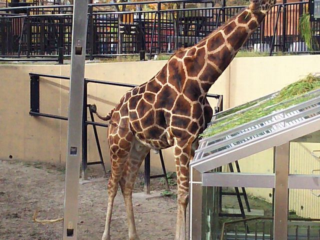 �����_���R������