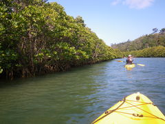 ڂԂ̂΂鎩Rmւ̓eʐ^1